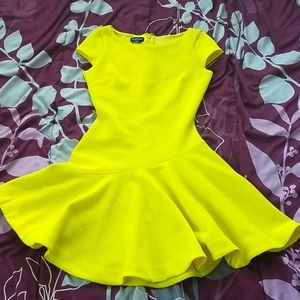 Bebe fit and flare dress